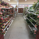 Floral Connection, Milan