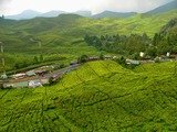 Puncak pass Bogor, Transport Jogja, Sleman