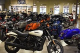 Team Arizona - Arrowhead Harley-Davidson, Peoria