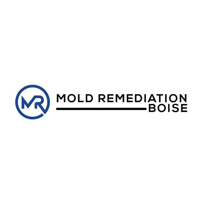  Profile Photos of Mold Remediation Boise 1515 Shoshone St - Photo 1 of 3