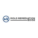 Mold Remediation Boise, Boise
