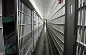  Profile Photos of TM Criminal Justice Lawyer 28 Dooley St #307 - Photo 4 of 6