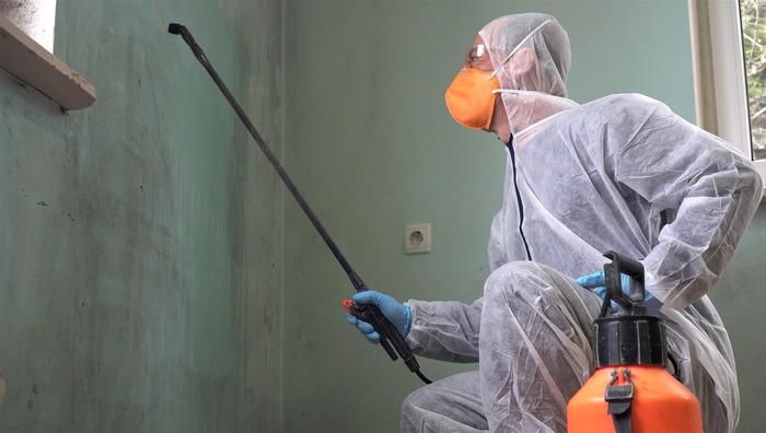  Profile Photos of Mold Remediation Meridian 1660 S Woodsage Ave - Photo 1 of 1