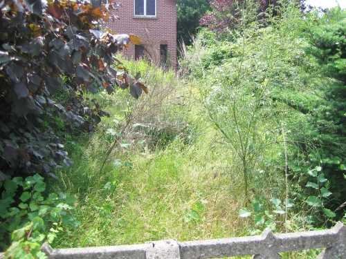  New Album of Essex Garden Care 78 The Fairway, Leigh on Sea - Photo 4 of 7