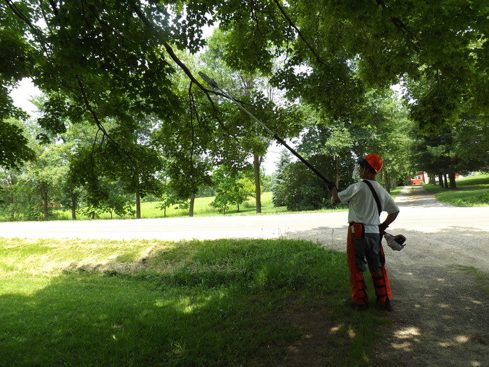  New Album of Essex Garden Care 78 The Fairway, Leigh on Sea - Photo 7 of 7