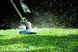 Essex Garden Care, Southend on Sea