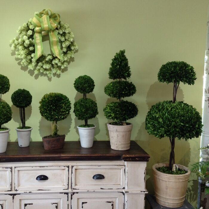  Profile Photos of Topiaries 301 25th St, #9 - Photo 3 of 4