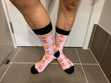 Sox by Angus, Cheltenham