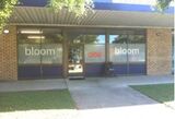 bloom hearing specialists Ballina, Ballina