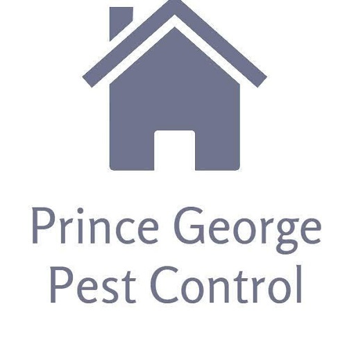  Profile Photos of Prince George Pest Control 10098 Cedarhollow Ln - Photo 2 of 2