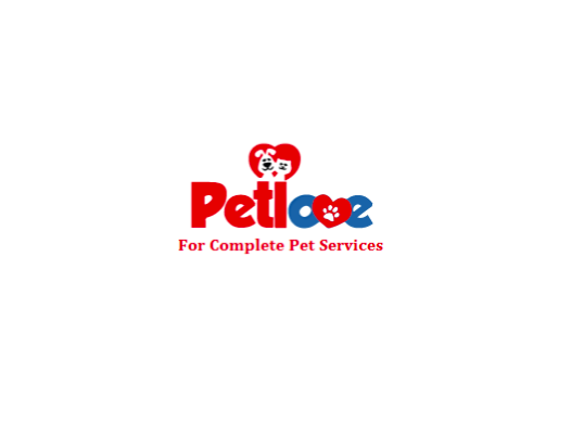  Profile Photos of Petlove Grooming & Accessories Dubai Marina Shop no. 5, The Jewel`s Tower, Marina Promenade - Dubai - UAE - Photo 1 of 1