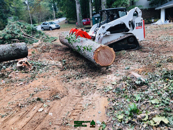  Profile Photos of Sergeant Tree Service 3061 Oakcliff Rd - Photo 5 of 5