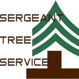 Sergeant Tree Service, Atlanta