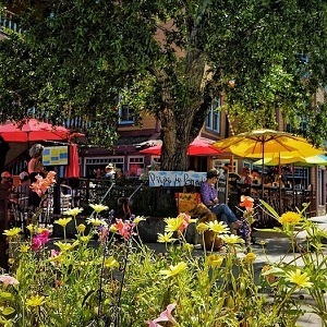  Profile Photos of Pitas In Paradise 302 Elk Ave - Photo 3 of 4