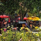 Pitas In Paradise, Crested Butte