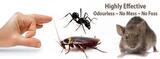 Pest Control Broadford, Broadford