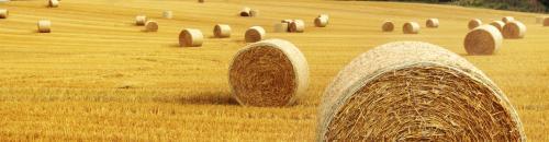  Profile Photos of Beem Farm 151 Oxbow Rd - Photo 2 of 2