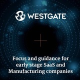 Westgate Technology Corp, Delta