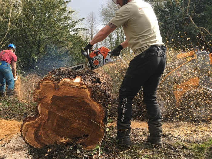  Profile Photos of Browns Tree Surgery Fortuna Mead - Photo 1 of 1
