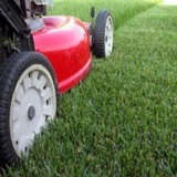 Polk Lawn, Winter Haven