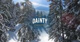 Dainty Foods, Windsor