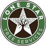 Tree Services Houston, Houston Tree services, Tree Houston, Emergency Services, Recurring Maintenance, Tree Removal, Stump Removal, Tree Pruning Profile Photos of Lone Star Tree Services 11938 Shady Meadow St - Photo 1 of 7 Tree Services Houston, Houston Tree services, Tree Houston, Emergency Services, Recurring Maintenance, Tree Removal, Stump Removal, Tree Pruning Profile Photos of Lone Star Tree Services 11938 Shady Meadow St - Photo 1 of 7