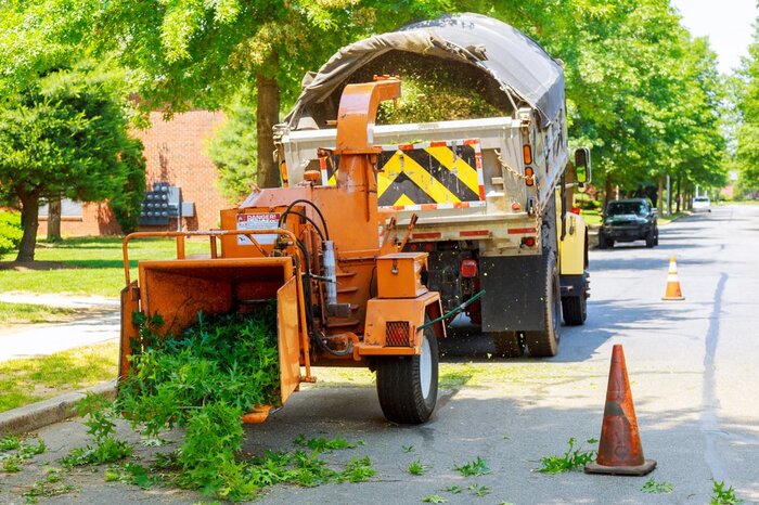 Tree Services Houston, Houston Tree services, Tree Houston, Emergency Services, Recurring Maintenance, Tree Removal, Stump Removal, Tree Pruning Profile Photos of Lone Star Tree Services 11938 Shady Meadow St - Photo 3 of 7 Tree Services Houston, Houston Tree services, Tree Houston, Emergency Services, Recurring Maintenance, Tree Removal, Stump Removal, Tree Pruning Profile Photos of Lone Star Tree Services 11938 Shady Meadow St - Photo 3 of 7