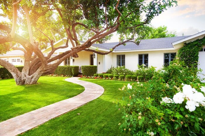 Tree Services Houston, Houston Tree services, Tree Houston, Emergency Services, Recurring Maintenance, Tree Removal, Stump Removal, Tree Pruning Profile Photos of Lone Star Tree Services 11938 Shady Meadow St - Photo 5 of 7 Tree Services Houston, Houston Tree services, Tree Houston, Emergency Services, Recurring Maintenance, Tree Removal, Stump Removal, Tree Pruning Profile Photos of Lone Star Tree Services 11938 Shady Meadow St - Photo 5 of 7