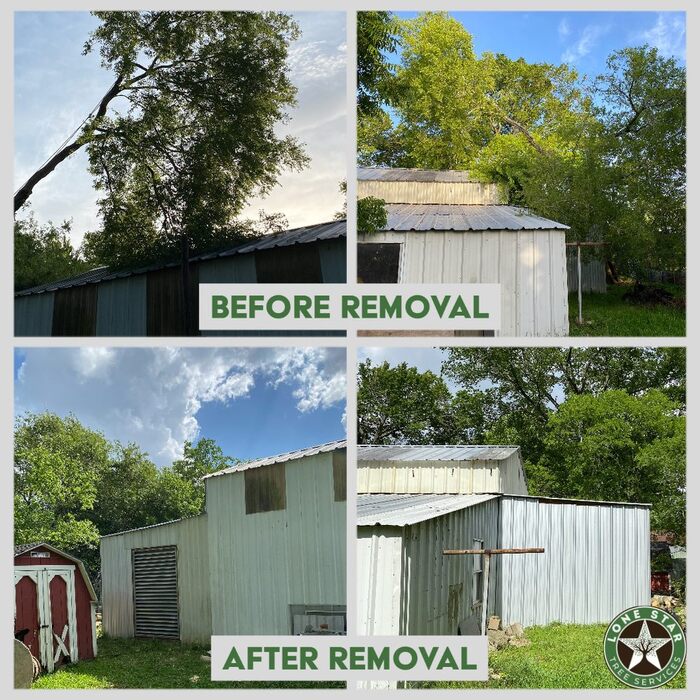 Tree Services Houston, Houston Tree services, Tree Houston, Emergency Services, Recurring Maintenance, Tree Removal, Stump Removal, Tree Pruning Profile Photos of Lone Star Tree Services 11938 Shady Meadow St - Photo 6 of 7 Tree Services Houston, Houston Tree services, Tree Houston, Emergency Services, Recurring Maintenance, Tree Removal, Stump Removal, Tree Pruning Profile Photos of Lone Star Tree Services 11938 Shady Meadow St - Photo 6 of 7