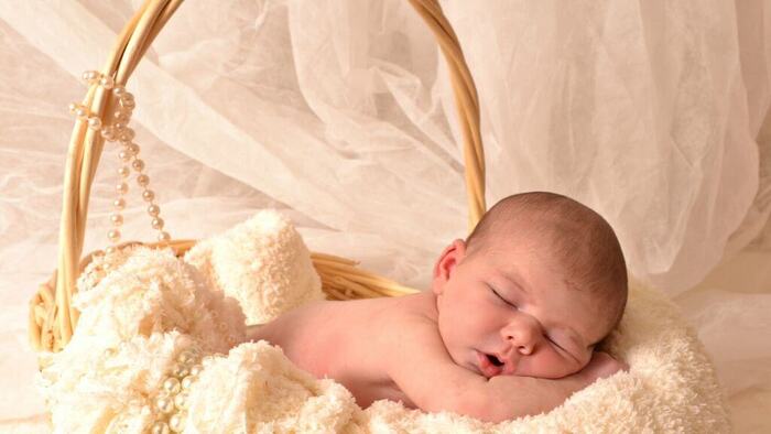  New Album of Newborn Photography Calgary 39 Hillgrove Crescent SW - Photo 3 of 5