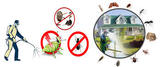 Pest Control Guildford, Guildford