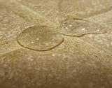 CleanBright Floor Cleaning, Dallas