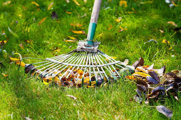  works of Lawn care oklahoma 6050 S Harvey Ave #122 Oklahoma City, Ok 73139 - Photo 6 of 10