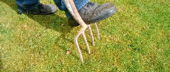  works of Lawn care oklahoma 6050 S Harvey Ave #122 Oklahoma City, Ok 73139 - Photo 8 of 10