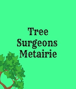  Profile Photos of Tree Surgeons of Metairie 4523 Rosedale Dr - Photo 1 of 1