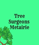 Tree Surgeons of Metairie, Metairie
