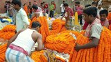  Grand Kolkata- City Of Joy Sightseeing Tour thakurpukur road 