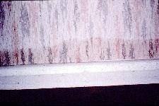  Profile Photos of Timberwise (UK) Ltd Suite 2022, 6 â?? 8 Revenge Road, Lordswood - Photo 4 of 6
