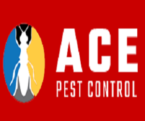  Profile Photos of Ants Control Brisbane Australia - Photo 1 of 1