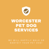 Worcester Pet Dog Services, West Boylston