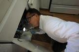 C & T Rodent Exclusion & Pest Control, Oakley