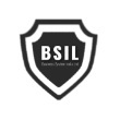 Business System India Limited, New Delhi