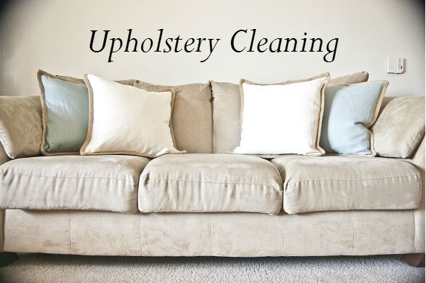  Profile Photos of Couch Cleaning Sydney 46 Bridge Street - Photo 4 of 6