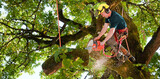  Bay Tree Removal Service 260 Industrial Pkwy W 