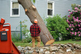  Bay Tree Removal Service 260 Industrial Pkwy W 