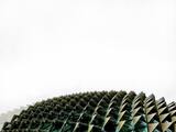 Roofing Repair Plano, Plano