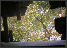 Roof Repairs London Roof Repairs London of Roof Repairs London 20 The Grove, - Photo 3 of 6