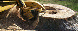 Menus & Prices, Affordable Stump Removal Services in Melbourne, Melbourne