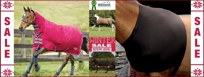  New Album of Horse Equipment | Robinsons Equestrian 71/77 Warrington Road, Ashton In Makerfield - Photo 3 of 3