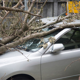 Martrain Insurance LLC, Baton Rouge